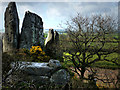 Roche Rock