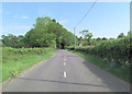 The Forest Road south of Whiteshoot Farm