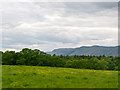 Farmland near Wester Muirhead