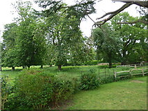 TQ5446 : Grounds of Hall Place  as seen from St. Mary's Churchyard by Basher Eyre