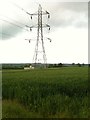 Pylon in a wheat field