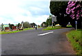 One-way road system through Brecon Cemetery