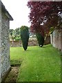 St Mary, Tarrant Rawston: churchyard (c)