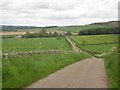 Country road towards North Lyham