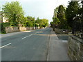 SE3853 : Knaresborough Road, Little Ribston by Alexander P Kapp