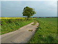 Track off, Ribston Road