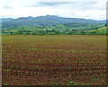 Gludy Isaf Farm field and a view of the Brecon Beacons