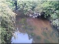 View of the River Brent from the footbridge in Brent River Park #3