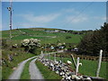 The track from Bron-y-foel