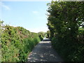 The lane to Gwastad Meirionydd