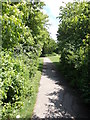 Footpath - end of Longwood Road