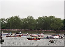 TQ2777 : Massed rowing boats, River Thames by David Anstiss