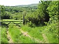 Footpath corner