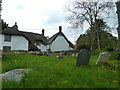 St. Mary,Tarrant Hinton- churchyard (12)