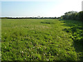 Saxby Lowlands bridleway