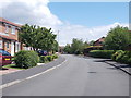 Broadcroft Drive - looking towards Constable Road