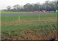 Light aircraft taxiing at Syerston Aerodrome