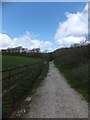 Cycle track on west bank of Upper Tamar Lake