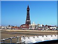 SD3036 : Blackpool Tower by John M Wheatley