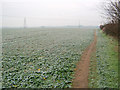 Footpath near Top Farm