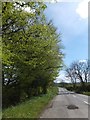 Road at Brendon south of Holsworthy Beacon