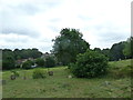 June 2012, Hollybrook Cemetery (32)