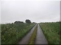 SM8029 : A Pembrokeshire Lane near Cwmwdig Farm by Anthony Parkes