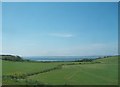 J5865 : Farmland between the Portaferry Road and Strangford Lough by Eric Jones