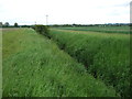 SK9285 : Field drain near North Farm by JThomas
