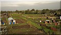 Allotments, Stoke Prior