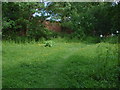 Footpath near the Priestley centre