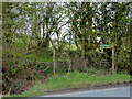SO0259 : Public footpath towards Disserth, Powys by Roger  D Kidd