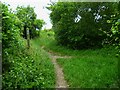 Bridleway junction north east of Findon