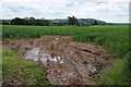 Arable land near Coed Morgan