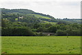 View to Clytha Castle