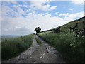 Turley Cote Lane near Outlane