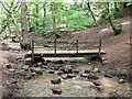 Footbridge over the brook in Dimmingsdale