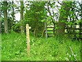 Footpath to Humphreston Hall