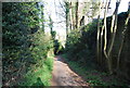 Footpath in Maresfield