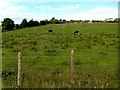 Lisdermot Townland