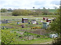 Allotment gardens