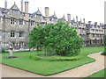 SP5106 : Fellows' Garden Sundial Lawn, Merton College by HelenK