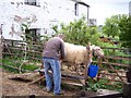 Milking time at  Hardendale