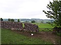 Wall stile near Low Haberwain