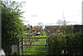 Allotments, Tenterden