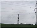 NZ3535 : Communications mast in farmland east of Raisby Quarry by peter robinson