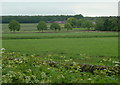 SK3064 : Fields near Moor House by Andrew Hill