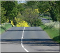 Leicester Road near Freezeland Lodge