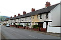 Holly Terrace, Troedyrhiw