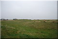 TR3754 : Royal Cinque Ports Golf Course by N Chadwick
